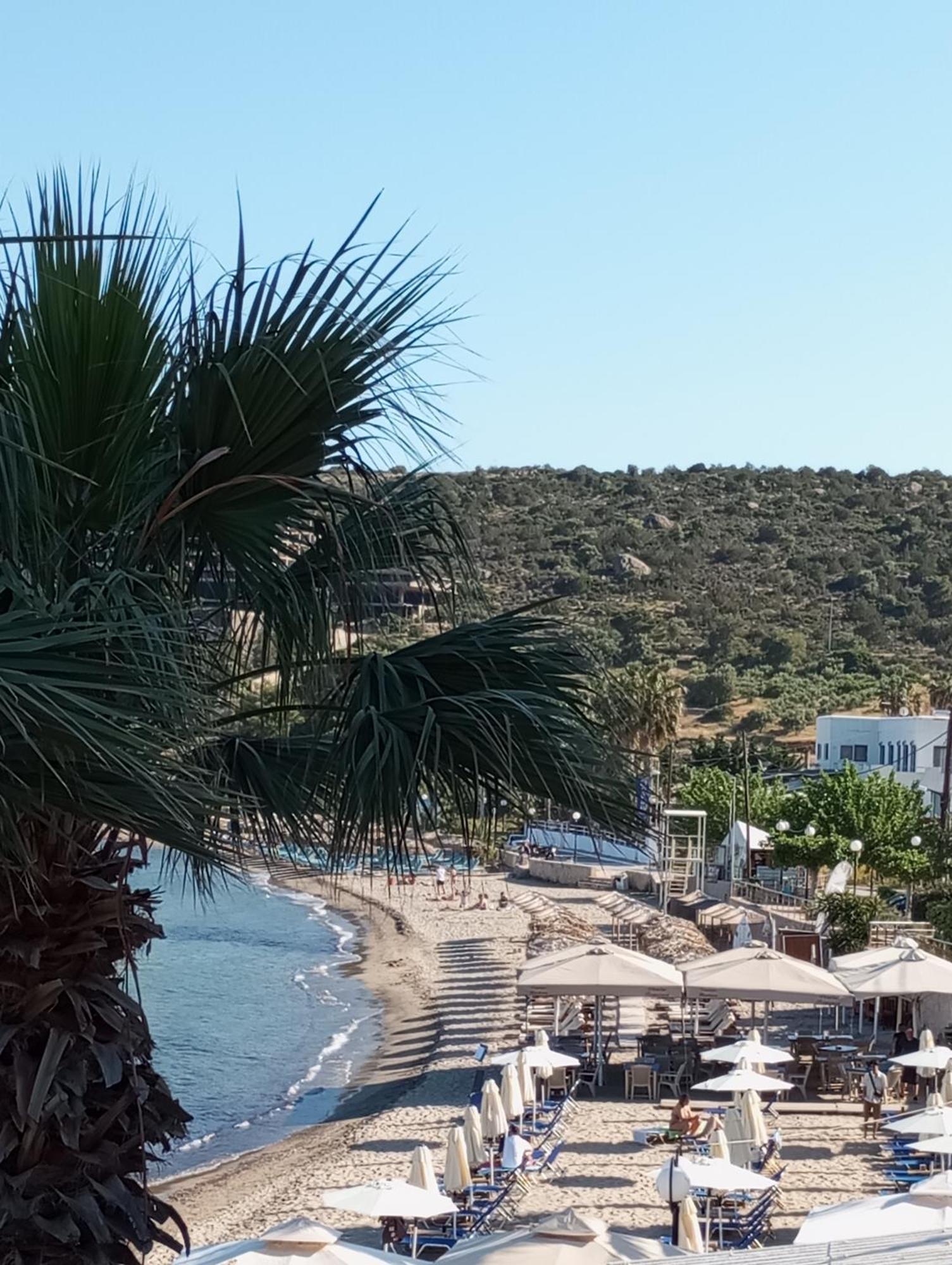 Svetlana & Michalis Oasis Hotel Agia Marina  Esterno foto